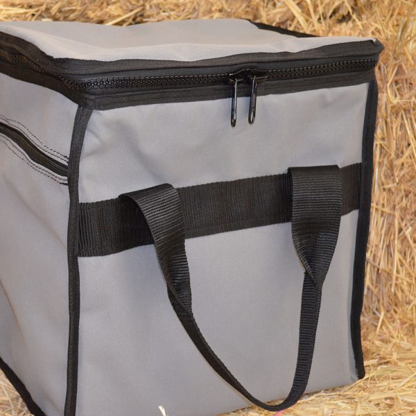 cooler bag small