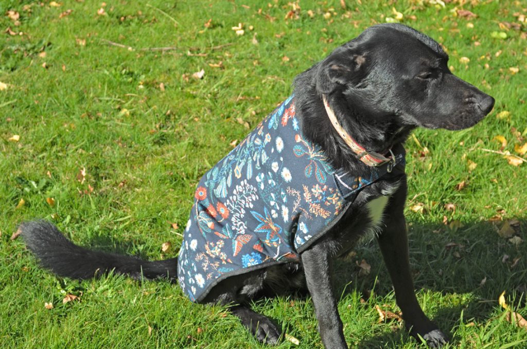 Custom made dog coats best sale